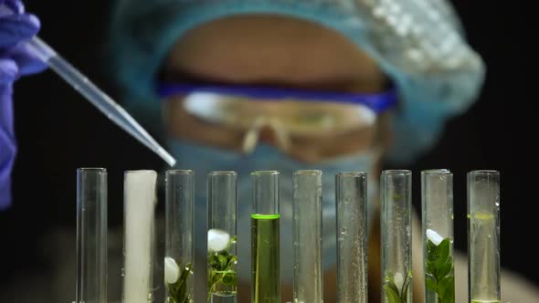 Biochemist Adding Chemical Agent Emitting Smoke in Tube With Green Plant, Lab alt