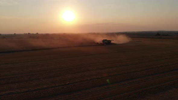 Harvest during summer sunset from the fields. Single combine harvesting wheat. Aerial drone view.