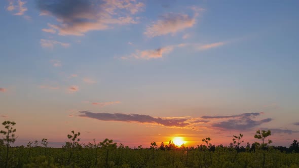 Sunset Over a Rapeseed Field