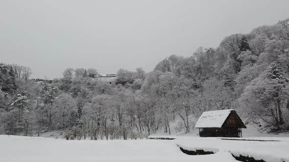 Winter Snow Falling alt