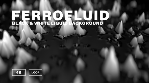 Abstract black and white ferrofluid background