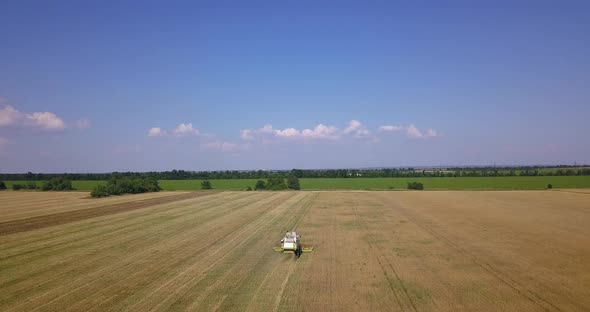 The Harvester Collects Wheat On The Field, View From The Drone