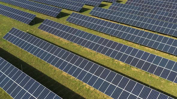 Solar Panel Plant alt