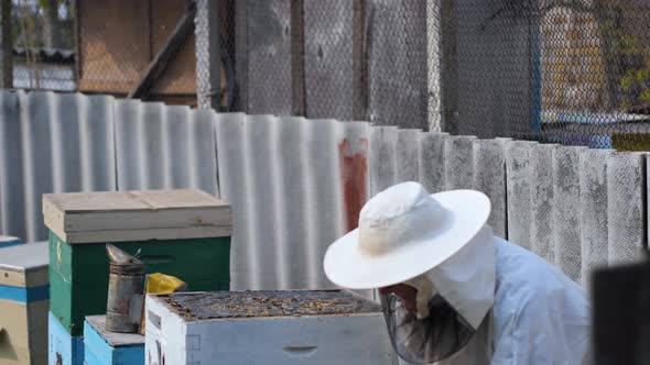 Man in Protective Suit Beekeeper Works with Beehives in Apiary Uses Smoker Device To Scare Away Evil alt