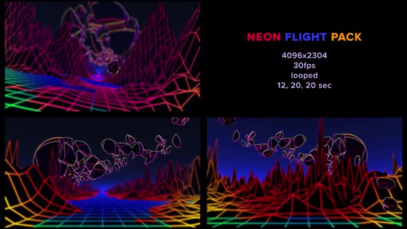 Neon Flight Pack