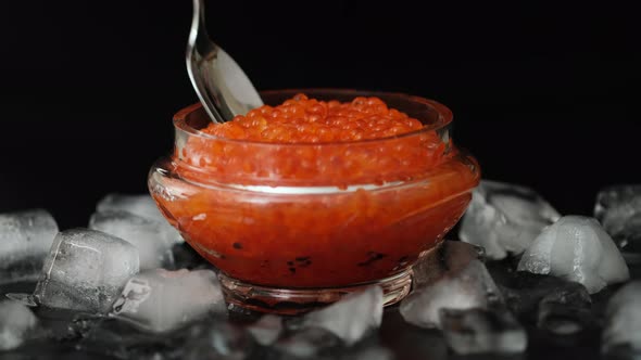 Red salmon salted roe caviar in big jar on black background close-up. Tasting salmon caviar alt