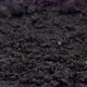 Timelapse  Microgreens Arugula Sprouts Growing Close Up View - VideoHive Item for Sale