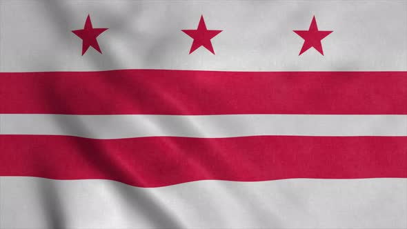 District of Columbia Flag Waving in the Wind alt