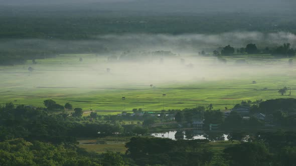 Beautiful landscape in the morning mist from the viewpoint.