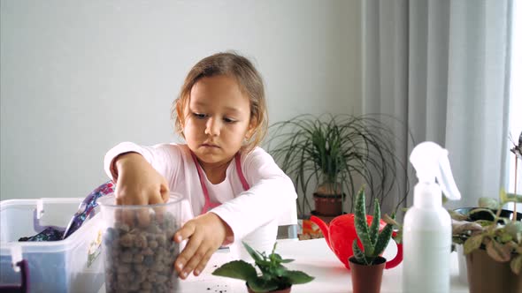 Little Child Girl Replant a Flower at Home Indoor