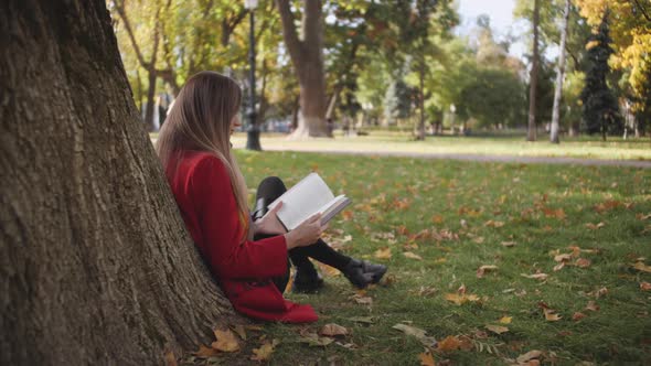 Woman is Reading Book under the Tree in the Park alt