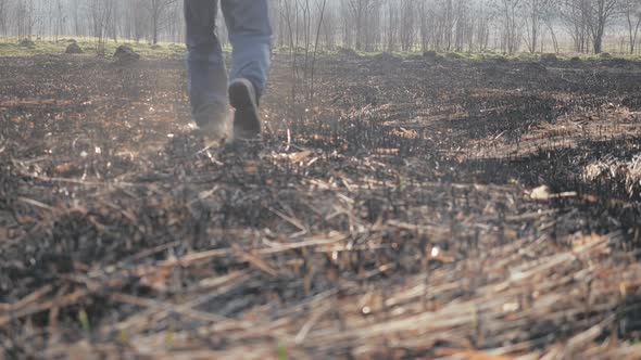 Male Feet in Galoshes Walk on the Ashes of Scorched Grass in the Field in the Spring Season Against alt