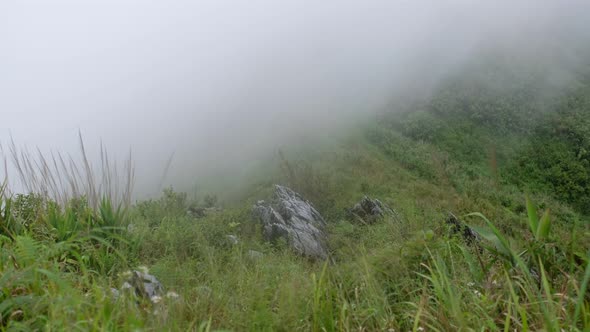 Landscape view of greenery rainforest mountains on foggy day