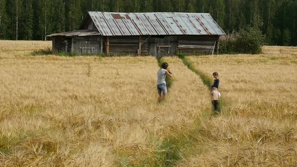 Family Walking On Wheat Fields. Mom With Children Walking On Golden Fields