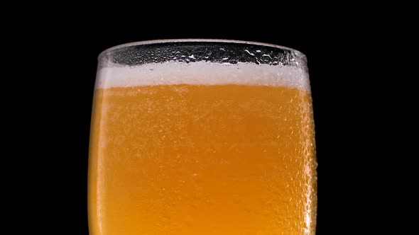 Fresh Beer in a Glass on a Black Background