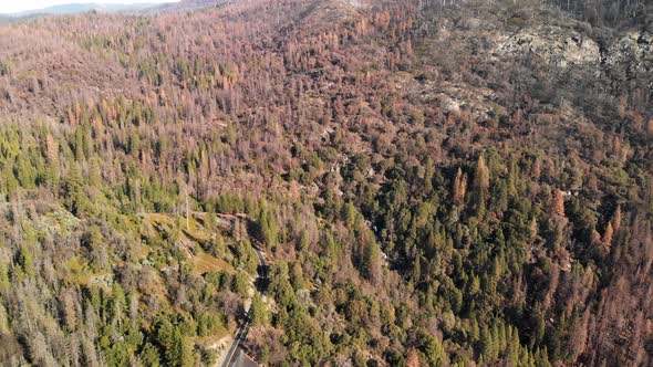 4K Aerial shot of cars driving on winding mountain road alt