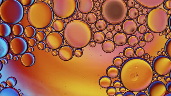 Abstract Colorful Food Oil Drops Bubbles 23 alt