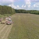 Aerial view of two Combines harvesting, trucks and tractor on grass field. 31 - VideoHive Item for Sale