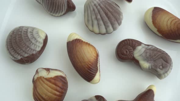 Rotation Seashell Chocolates Background alt