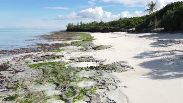 Zanzibar Tanzania  Empty Beach on the Ocean alt