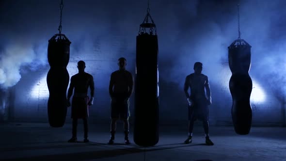 Boxing Workout Training alt