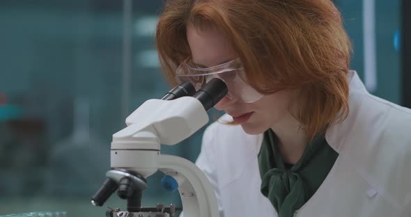 Medical Laboratory in Hospital, Female Doctor Is Researching Analysis of Patients By Microscope alt