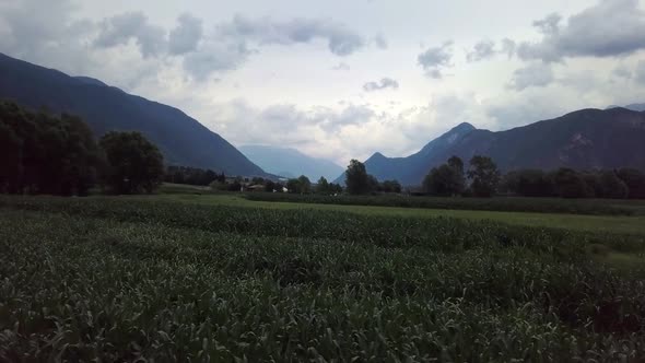 Aerial view of a farm field in Levico Terme, Italy, during sunrise with drone flying forward at low alt