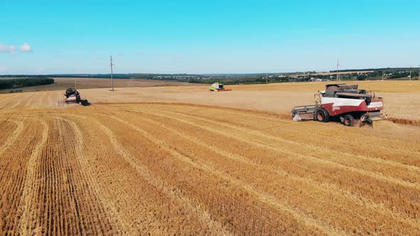 Farming Machines Are Harvesting Wheat in Sunlight alt