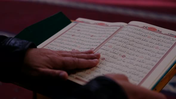 Read Muslim Holy Books alt