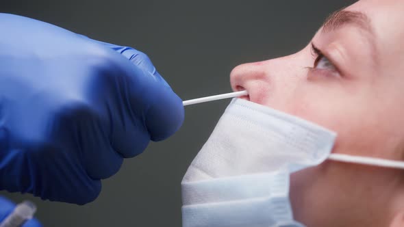 PCR Test Process Doctor Medical Staff Worker Wearing Protective Equipment Takes Sample From Nose of alt