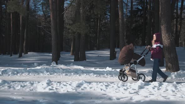 Young Mother Walks with Her Baby in a Stroller in the Woods alt