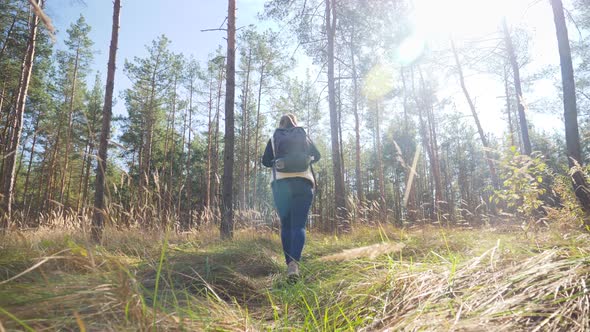 Slow Motion Video From Low Point on Young Woman Hiking in Forest and Walking on Path Through Big alt