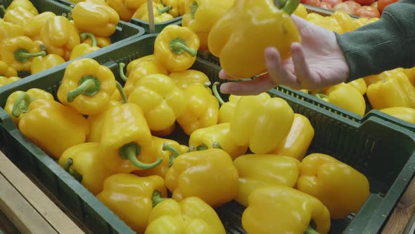 Woman Chooses Yellow Peppers in a Pepper Store