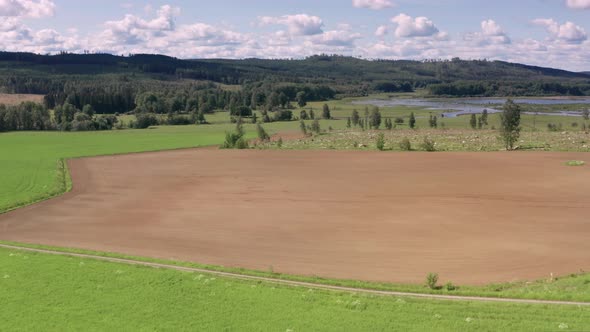 2 MONTH AERIAL TIMELAPSE BACK WIPE of crops growing from a ploughed field alt