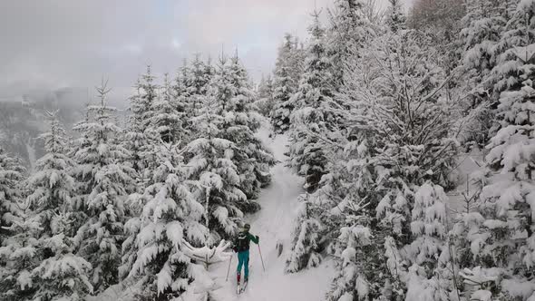 Drone Of Man Ski Touring Uphill Through Snow Covered Forest alt