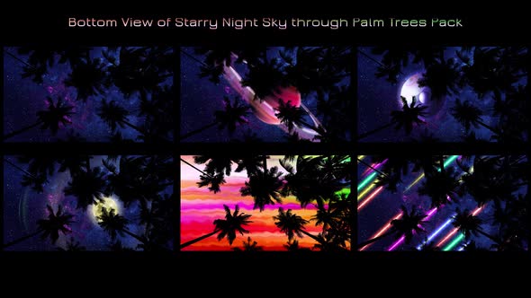 Bottom View on Night Sky Through Palm Trees - Pack