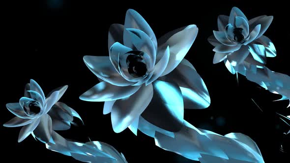 Colorful Footage With Blue Flower And Falling Petals