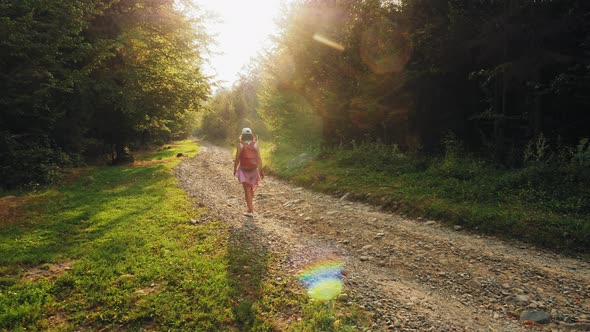 Hiking Through a Mountain Forest on a Rocky Road