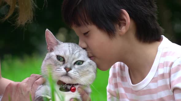 Asian Mother And Her Son Playing With Scottish Cat In The Park Outdoor alt