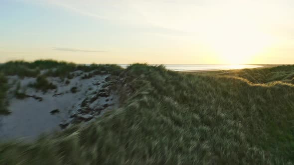 Denmark Beach with Its Grassy Lands and Sandy Shores During 5AM Sunrise alt