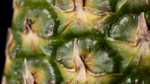Fresh Juicy Pineapple - Extreme Closeup Macro Detail View of Pineapple Skin alt