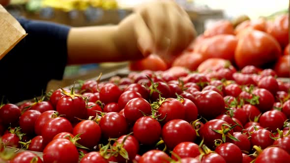 Little Child Girl Is Choosing a Cherry Tomatoes at Grocery Store, Close-up