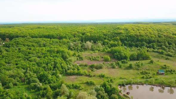 Aerial View Over Green Trees Forest on Daytime in Spring in Western Ukraine