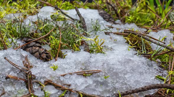 Macro Timelapse Shot of Shiny Melting Snow Particles Turning Into Liquid Water and Unveiling Green alt