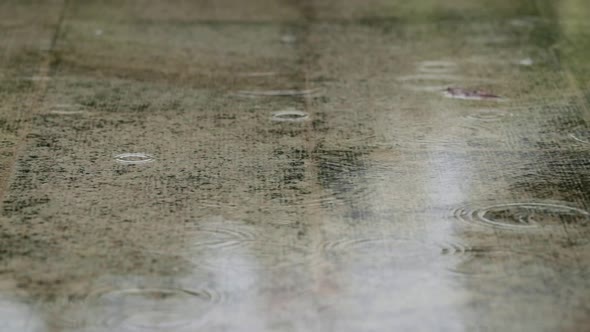 Raining outdoor  alt