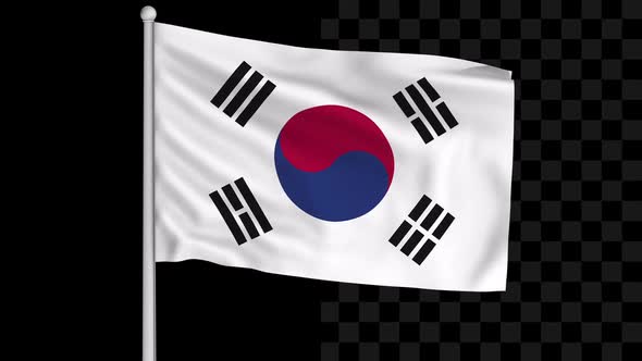 South Korea Flag Loop alt