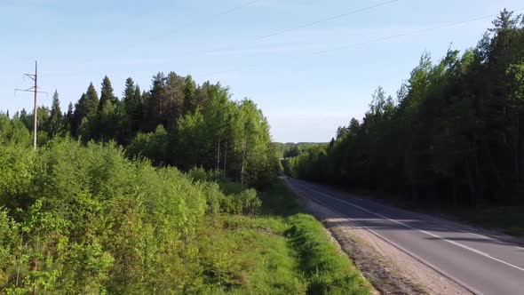 Paved Highway Between Forest on a Summer Day Video