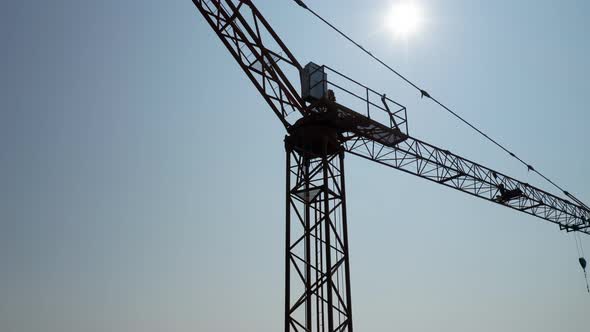 Crane Silouhette Sunlight Sky alt