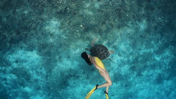 Freediving or Snorkeling Trips. Large Turtle and Young Girl Swimming Underwater Together in Slow alt