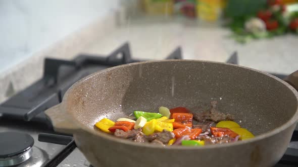cook salts stewed vegetables with meat alt